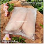 Fish DORI sutchi fillets IQF brand NASUBA Medan NBL 300-400 +/- 11" 28cm/pc - REPACKED (price/pack 700g 2pcs)